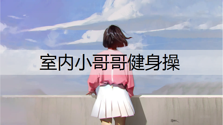 室内小哥哥健身操