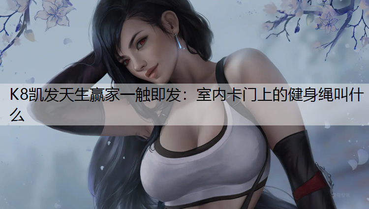 K8凯发天生赢家一触即发：室内卡门上的健身绳叫什么