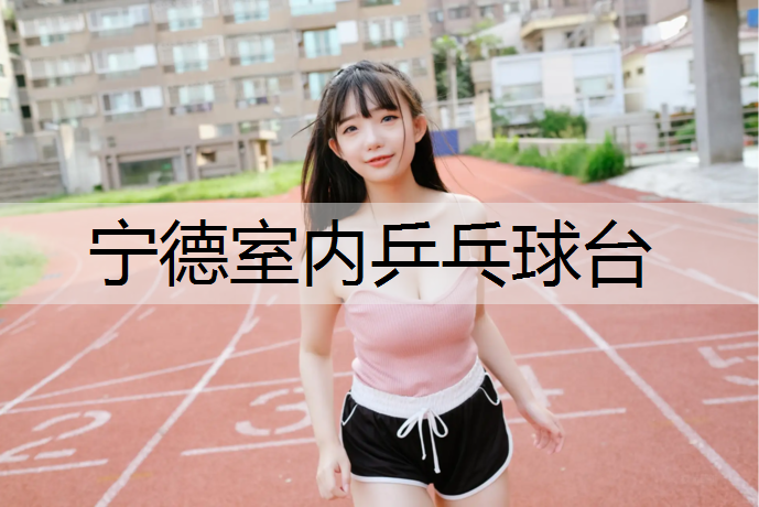 宁德室内乒乓球台