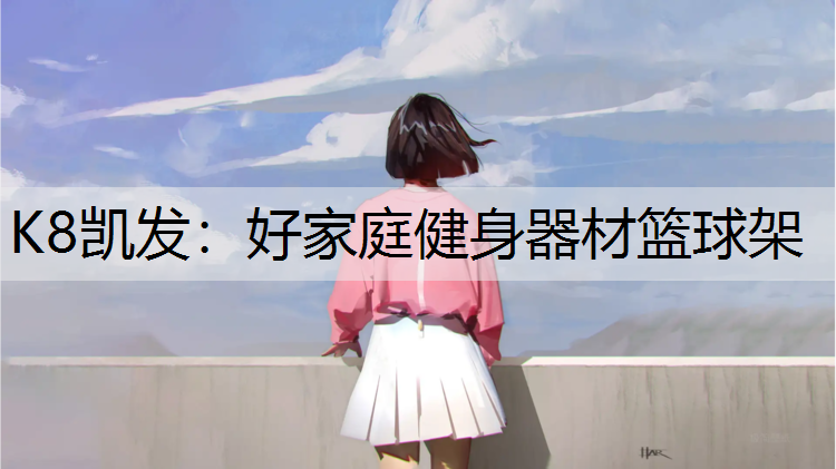 K8凯发：好家庭健身器材篮球架