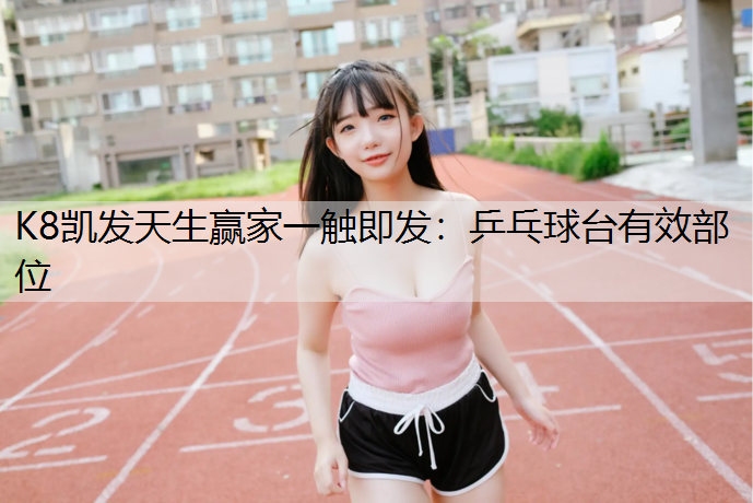乒乓球台有效部位