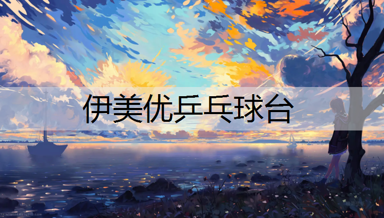 伊美优乒乓球台