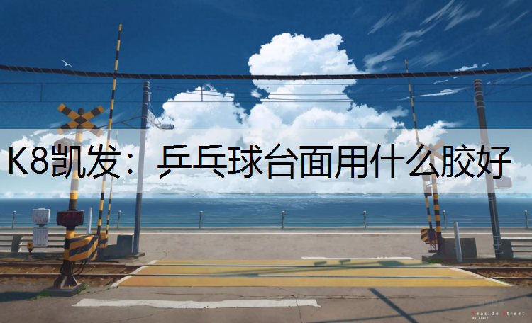 乒乓球台面用什么胶好